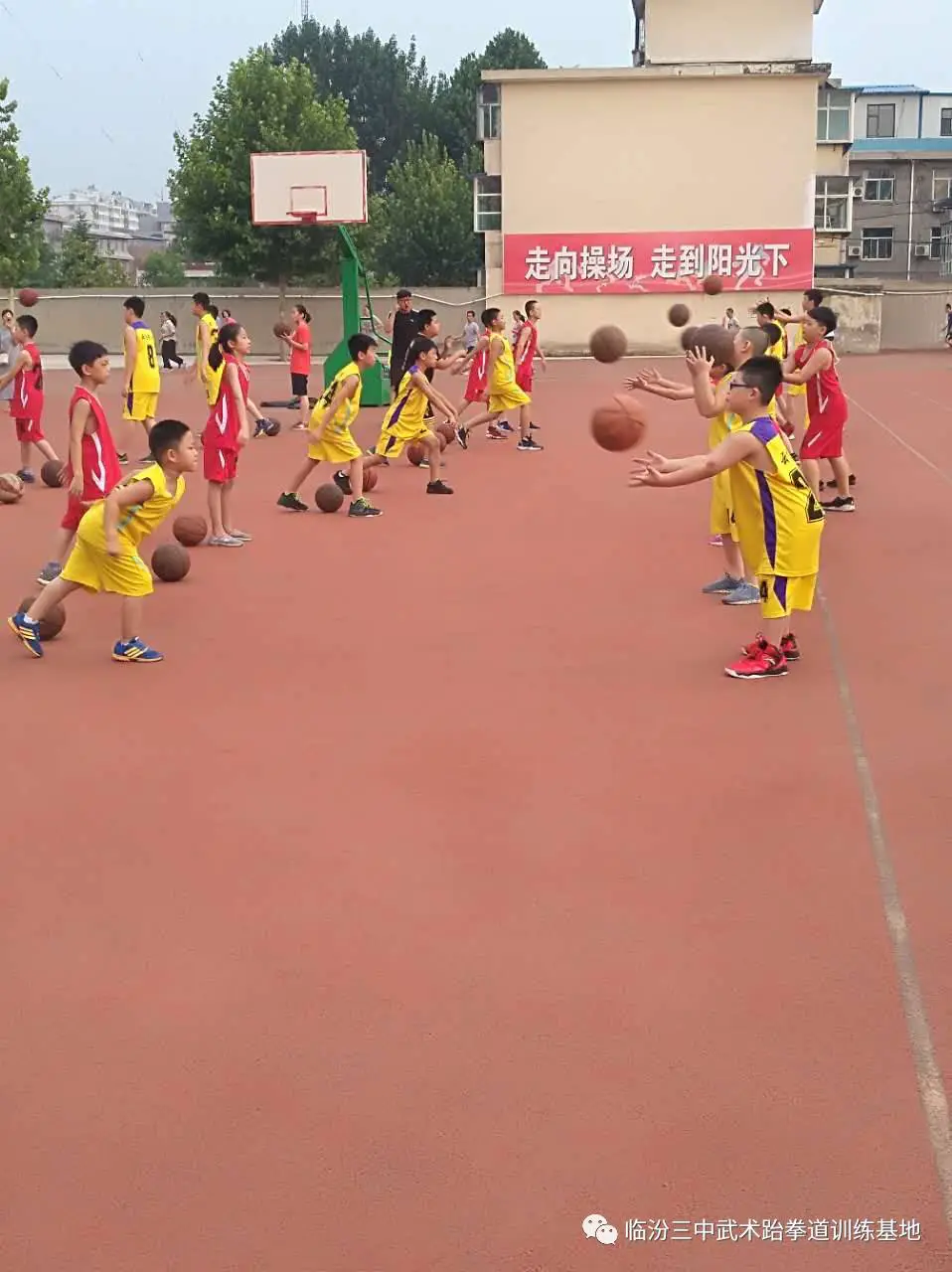如何制定适合自己的篮球恢复训练计划?_0